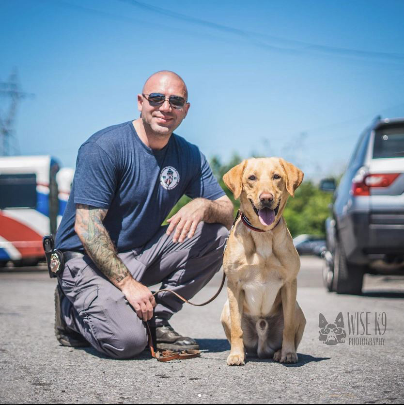 Penn Vet Working Dog Center Labrador Retriever and FDNY Partner Penn Vet Working Dog Center Labrador Retriever and FDNY Partner