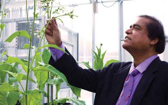 Penn Dental Research Greenhouse provide inexpensive medicine to people in remote areas