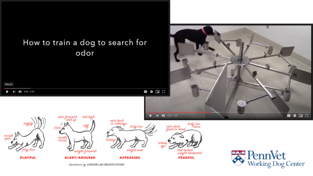 Penn Vet Working Dog Center takes canine handler academy virtual